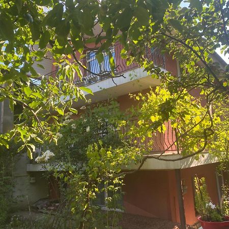 Ardelean Apartment Орадя Экстерьер фото