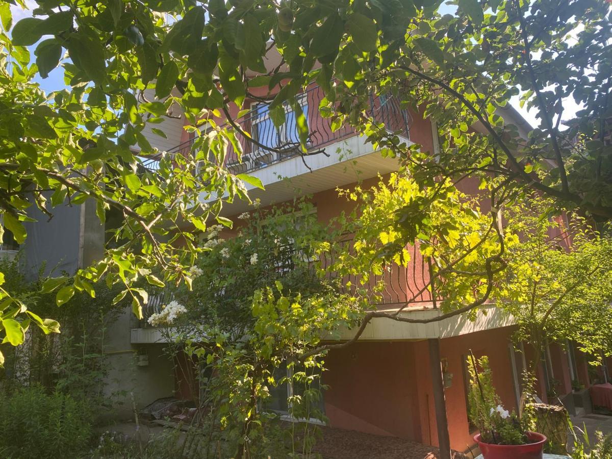Ardelean Apartment Орадя Экстерьер фото